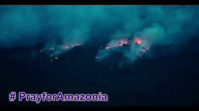 The Most Severe Forest Fire : Amazon Rainforest