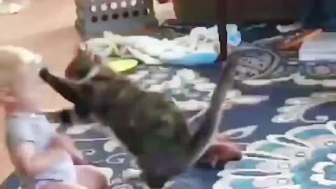 Funniest !! dog and 😸cats- awesome funny 😇 animal vidio !! 😸 funny dog vidios