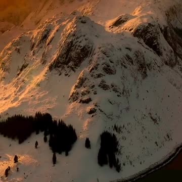 Amazing videos on tiktok...