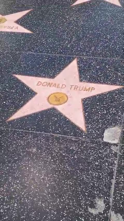 😁😁 Allah and his peaceful followers hate Donald Trump ! 😁😁