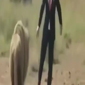 Man Playing Football with Lions