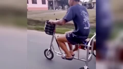 When you have a dog and a bike, you share a dog-powered car