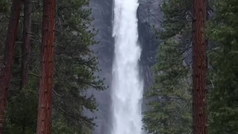 vídeos aleatórios assiste e seja bem vindo