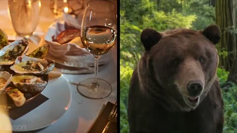 I'd rather vote for the bear