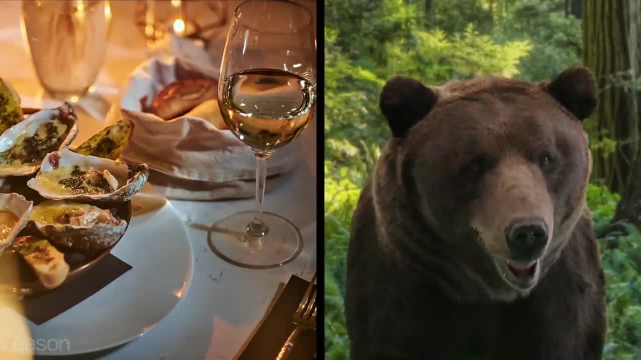I'd rather vote for the bear
