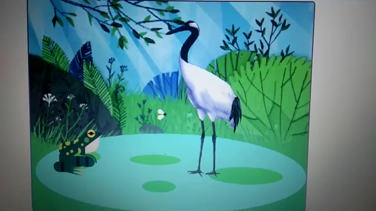 Frog and the crane
