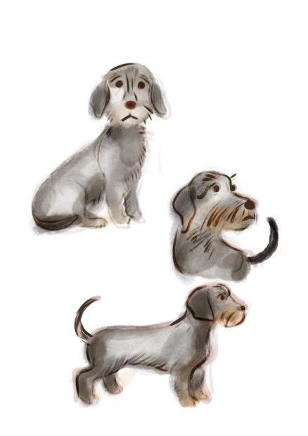 I'm drawing a dachshund