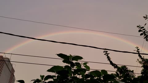 Reibow outside the 🏡 home