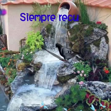 Green gardens gives us daily food