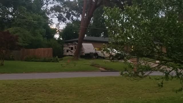 Storm Blows Tree Over into Power Lines