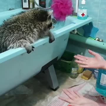 After bathing, the most important thing is to get out of the bath