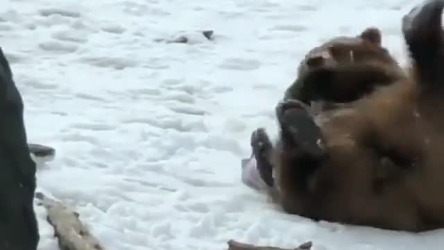 soo cute.....