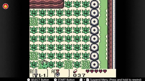 Link's Awakening day 4