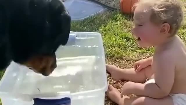😂😂😂Swimming pool with baby and dog fun time 🤣🤣