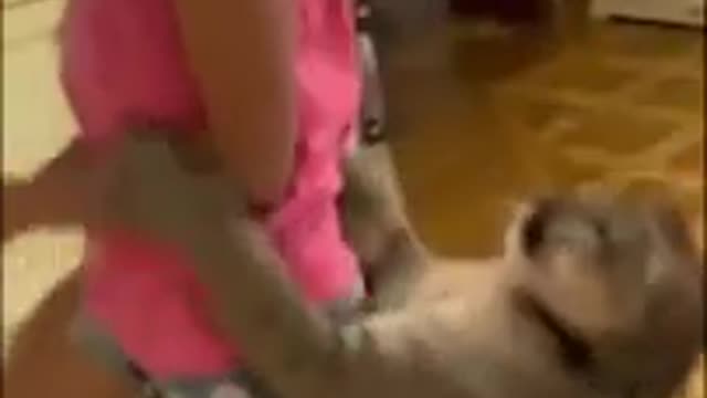 Beautiful Animals Videos _ Lovely Videos Compilation 🤘