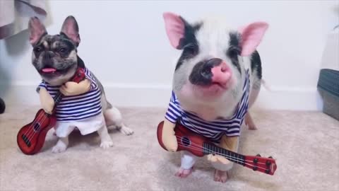 Piggy and doggie dance merrily )))