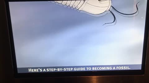 How to become a fossil