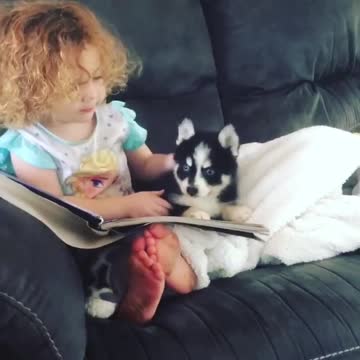 Toddler teaches her puppy how to read