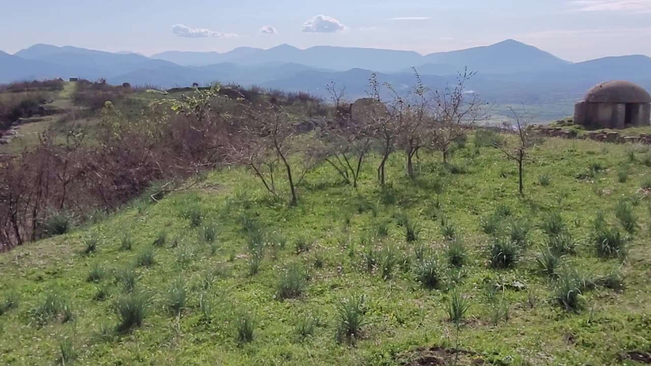 Reset2024-informacje z Albanii.