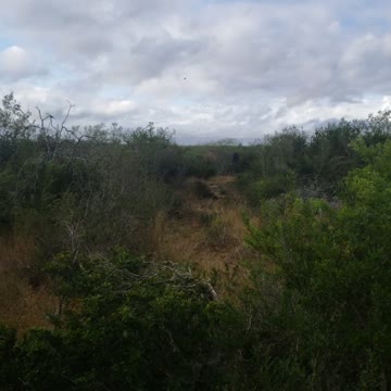Windy day at the ranch
