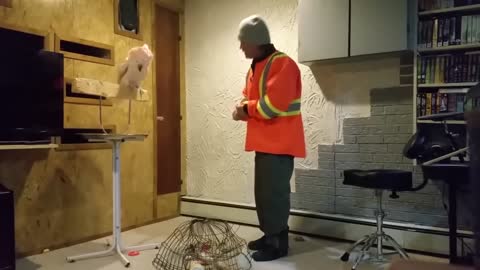 Angry Parrot