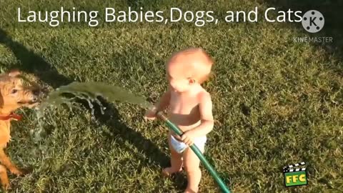 Baby funny with dog