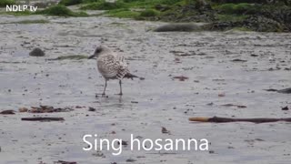 Give me joy in my heart – Karaoke – with lyrics