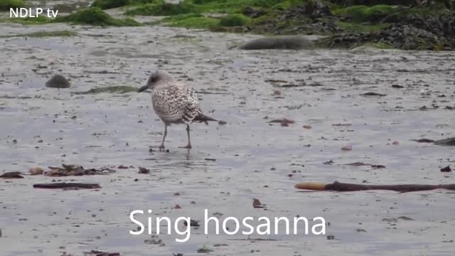 Give me joy in my heart – Karaoke – with lyrics