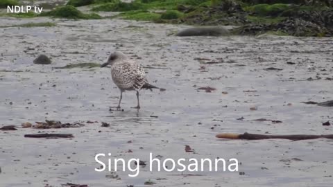 Give me joy in my heart – Karaoke – with lyrics