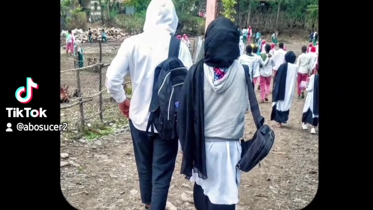 School life