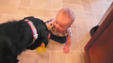 So funny video dog and baby beautiful