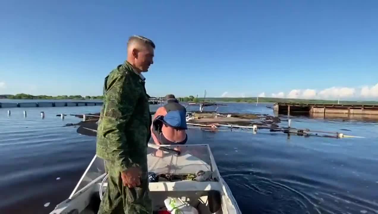 Severe Russian petting zoo.