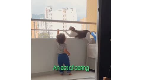 True meaning of caring!!! 🐈 is trying to save the child!!!