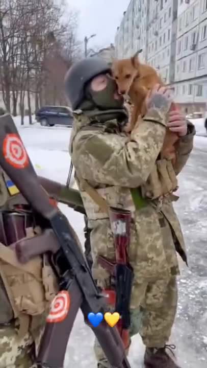 0.Amazing Animals Compilation from UKRAINE 🔥 #shorts