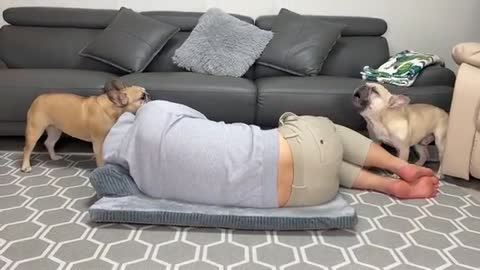 Stealing_My_Dogs_Bed___THEY_THREW_A_TANTRUM