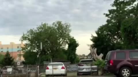 Run in opposite directions to see who your dog loves most