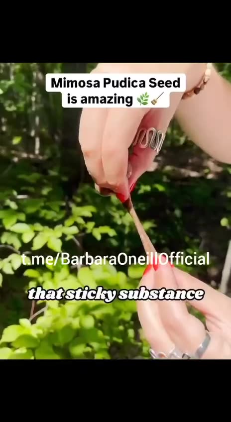 The best plant to kill parasites