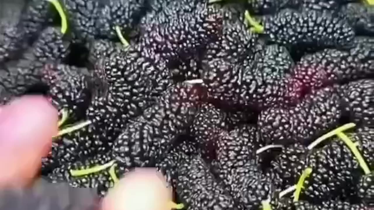 Amazing fruit🍍🍎🍓🍇 cutting skills, red bananas