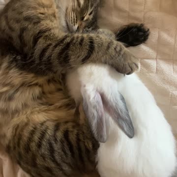 Good Morning Sunshine 🌞