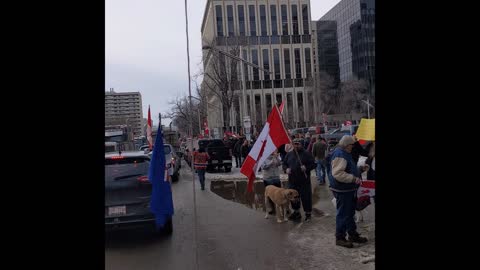 Freedom Convoy 2022 - Downtown Edmonton