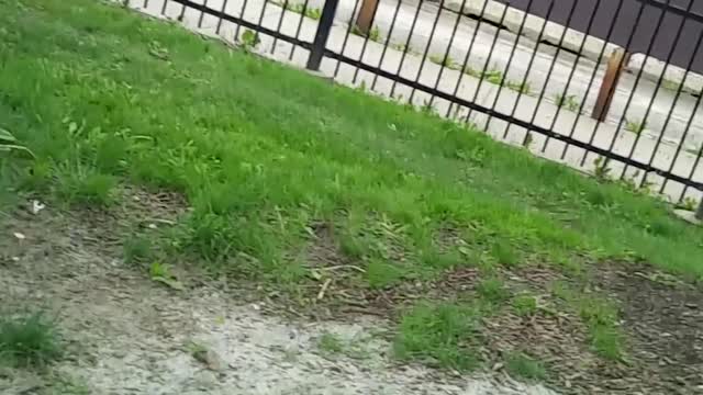 CAN YOU TRY NOT TO LAUGH 😆