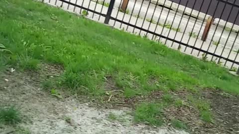 CAN YOU TRY NOT TO LAUGH 😆