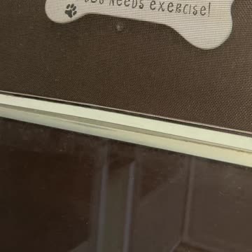 The dog needs exercise 😂