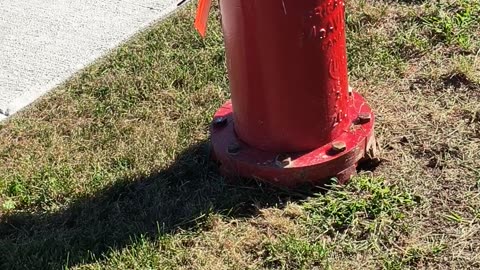 Fire hydrant