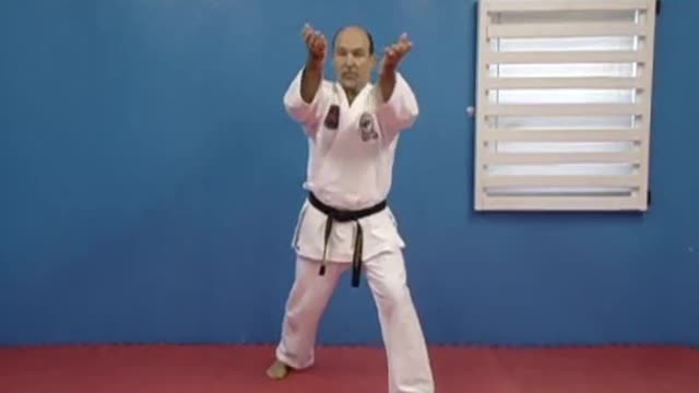Defensive Wedge Block