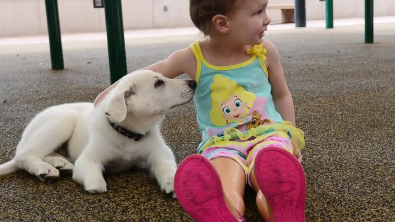 The girl and the dog. Exciting story, you need to hear it.