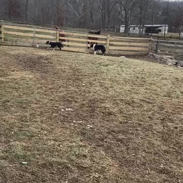 Wendy and Charlie Call Back