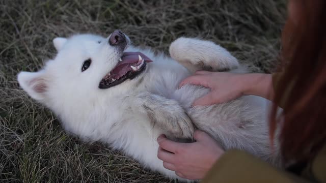 women playing with her dog1