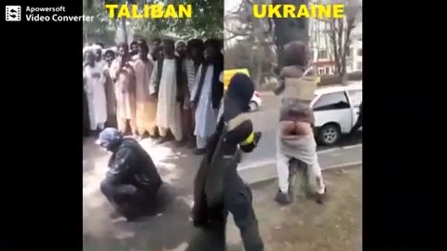 Taliban/Ukraine Comparison