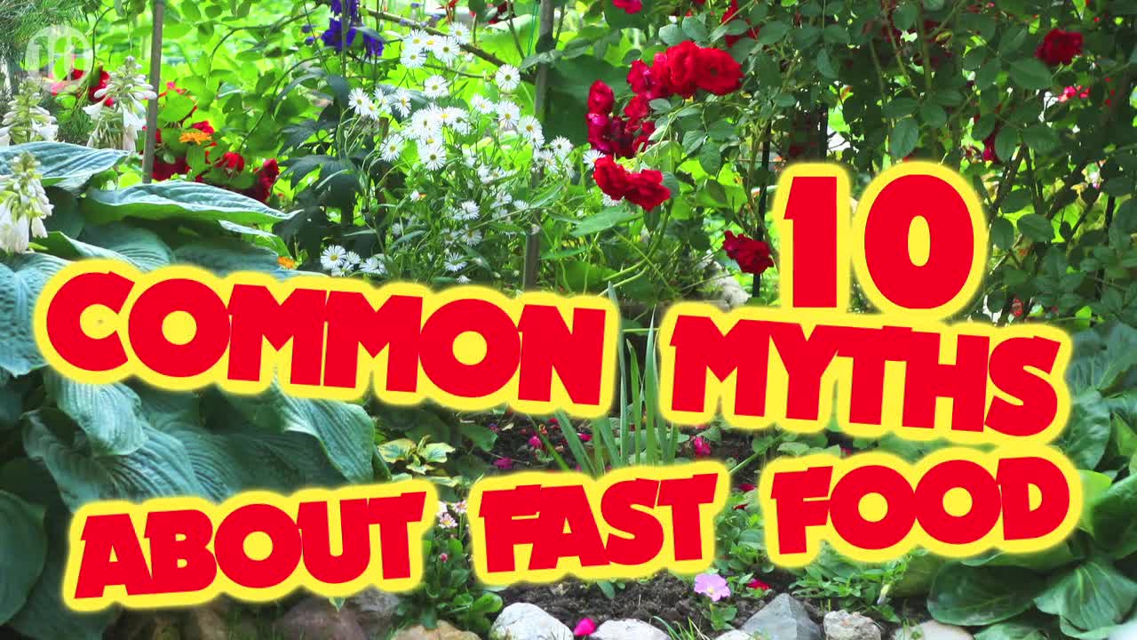 10 Common Myths About Fast Food
